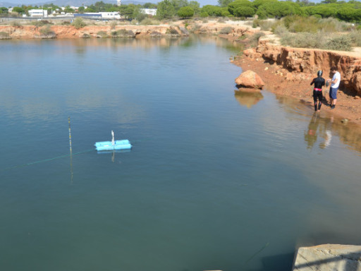 scientists placing sensors in seagrass meadows