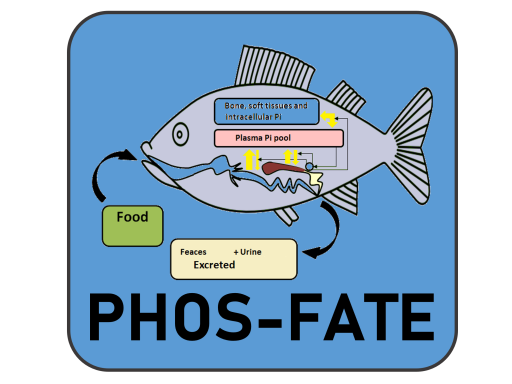 Logo Phos-fate