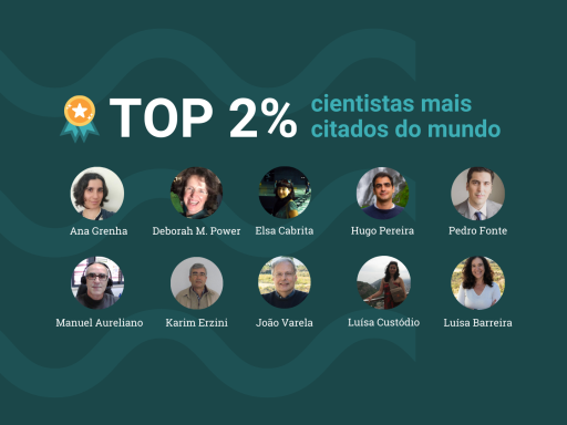 Top2%bestscientists