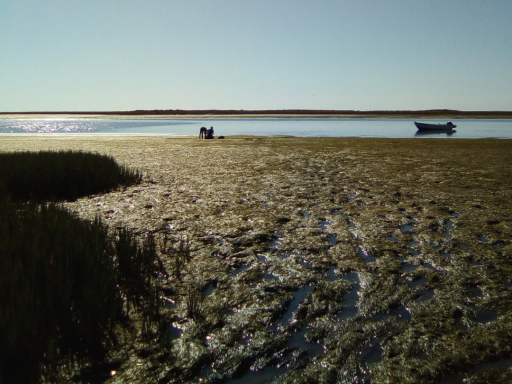 Ria Formosa