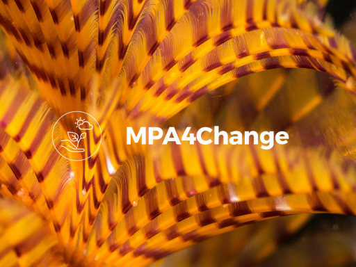 Espirografo_JoaoRodrigues_MPA4Change