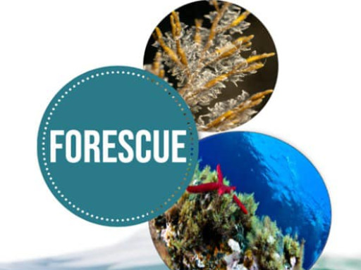 FORESCUE