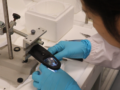 Zhi Li workin on bivalves