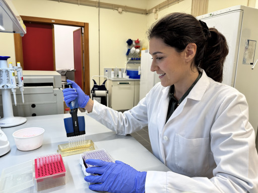 Catarina Marreiros PhD