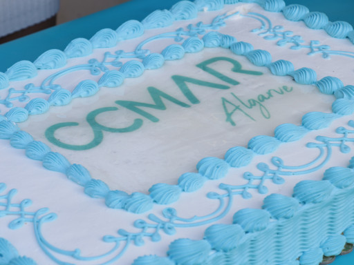 Bolo aniversario CCMAR