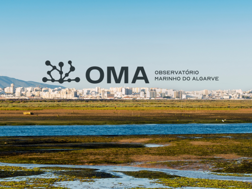 observatório marinho do algarve