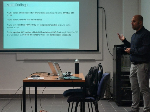 Gil Martins PhD Defense