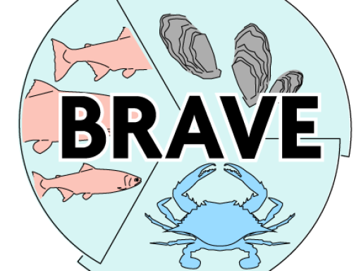 BRAVE