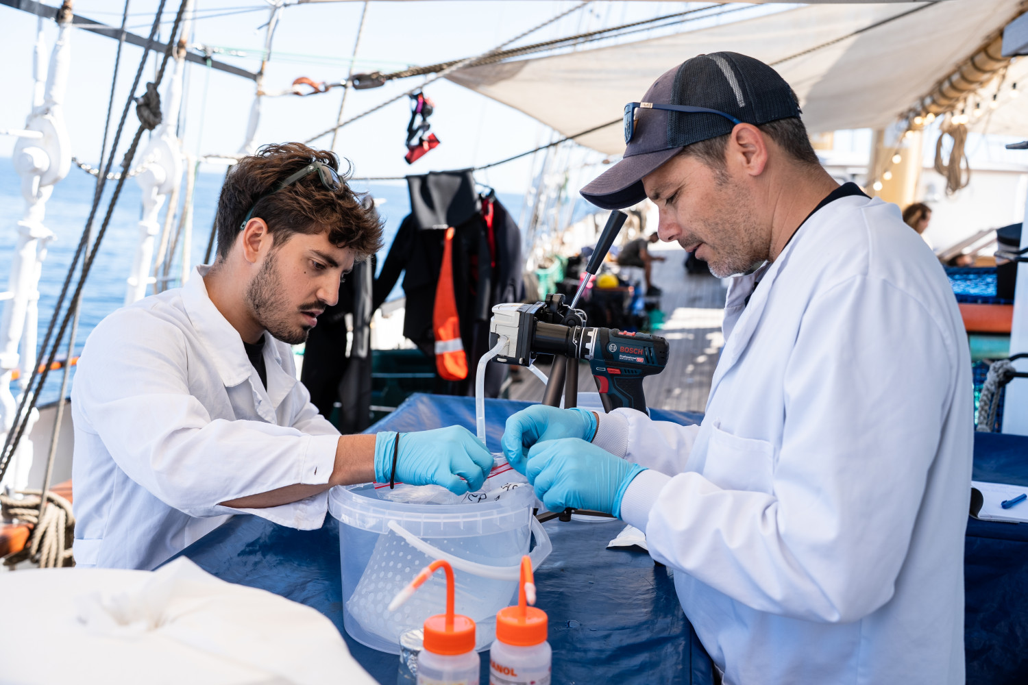 dna sampling 1