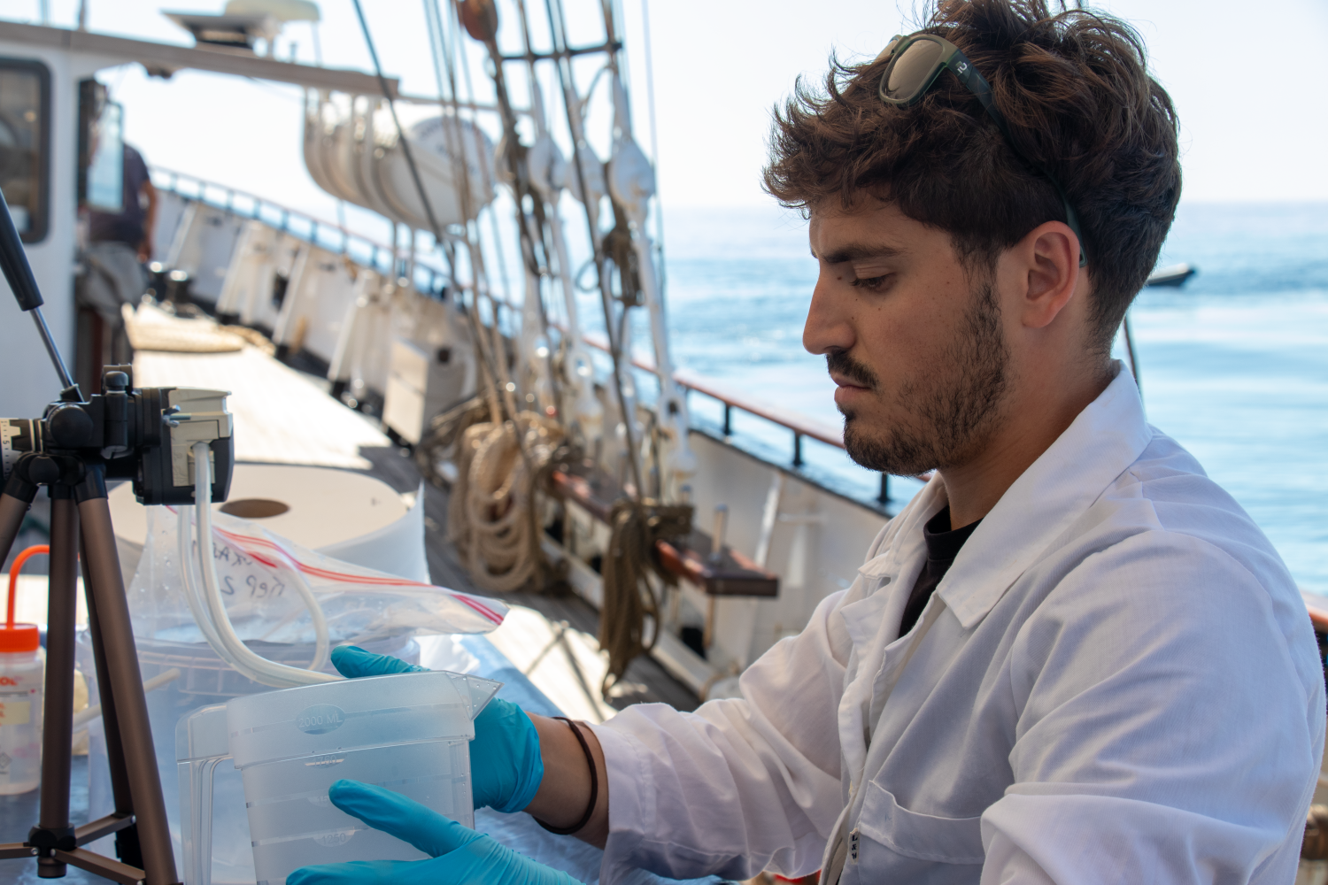 dna sampling 1