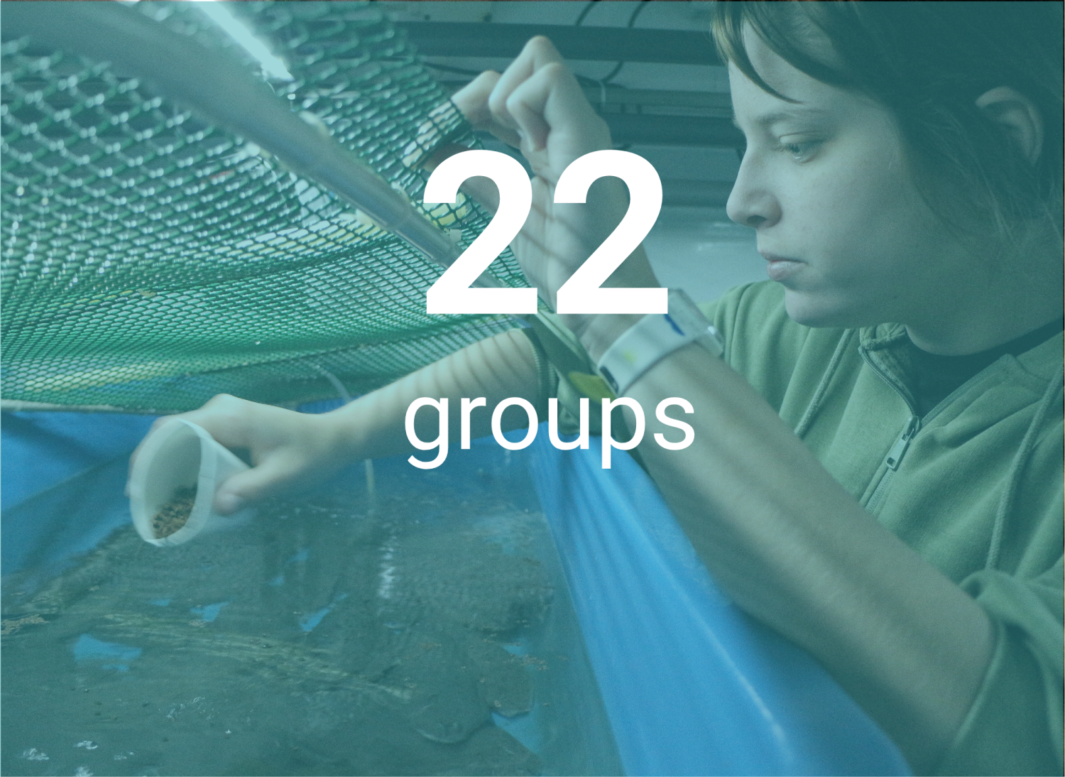groups