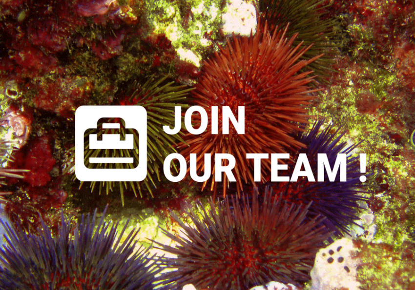 Join our team slogan