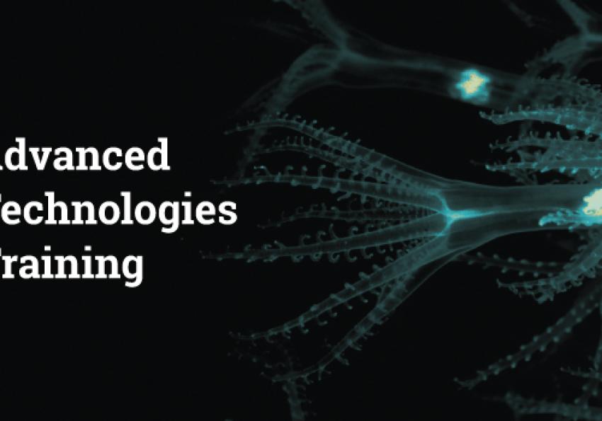 Generic representation of Biosensors meet Blue Biotechnology: screening for novel bioactive marine compounds.