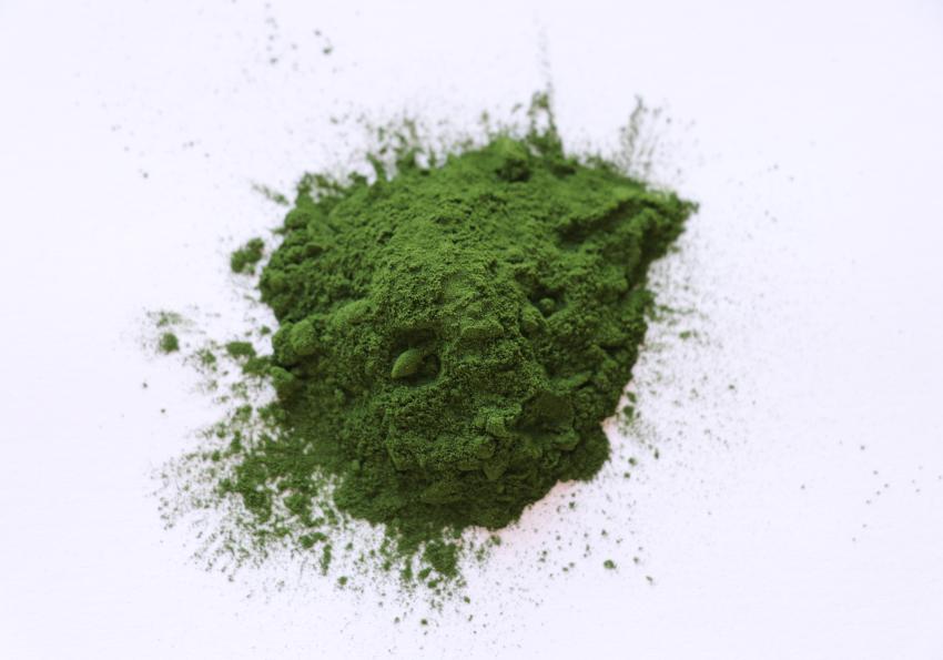 Generic representation of Seminar: The wonderful world of microalgae 