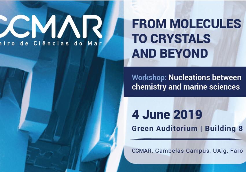 Generic representation of Workshop: FROM MOLECULES TO CRYSTALS AND BEYOND