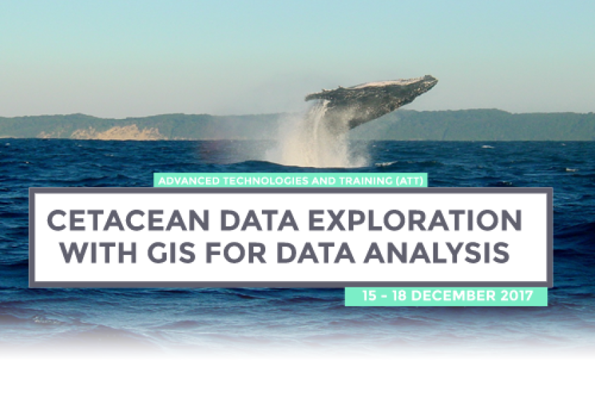 Generic representation of Cetacean data exploration with GIS data analysis