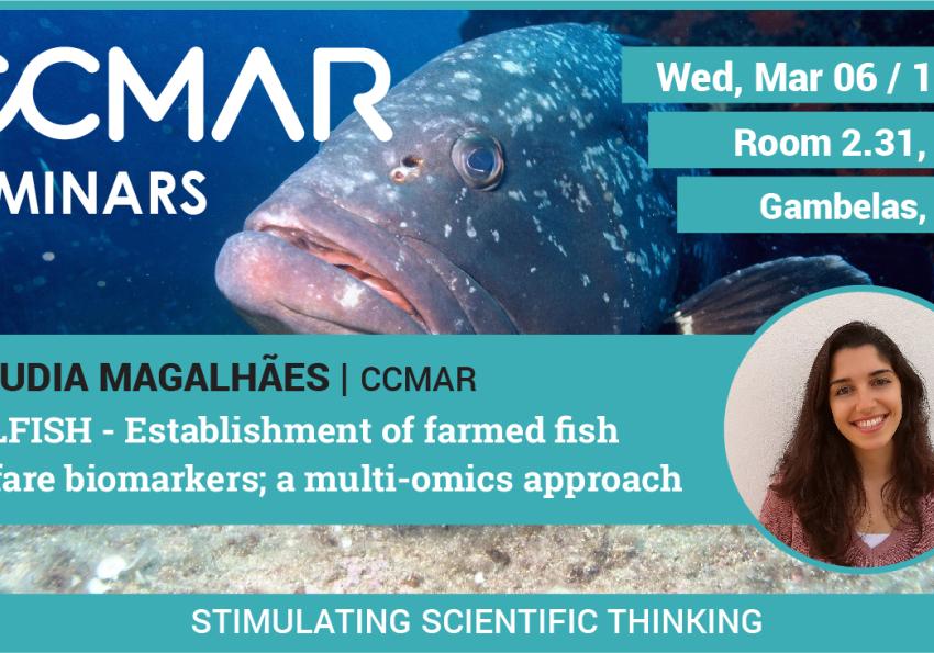 Generic representation of WELFISH - Establishment of farmed fish welfare biomarkers; a multi-omics approach