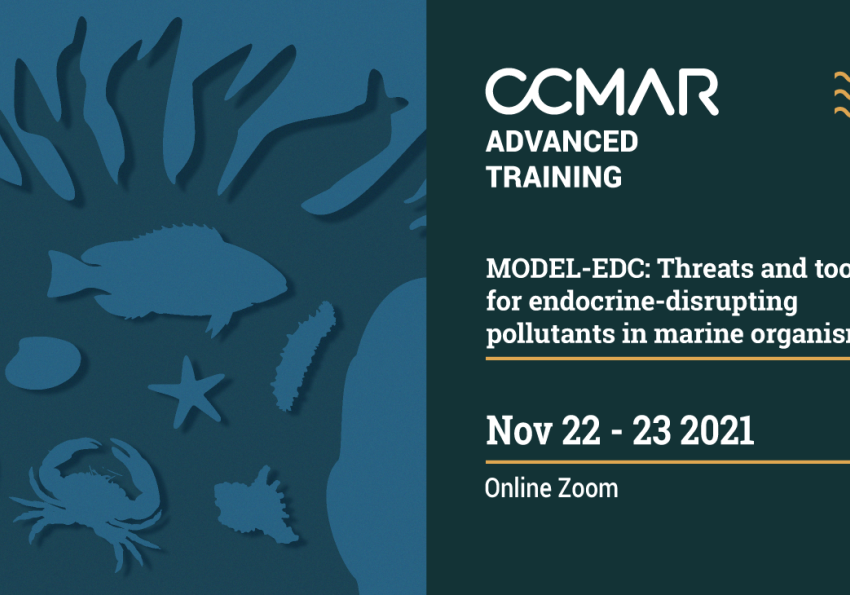 Generic representation of MODEL-EDC - Workshop