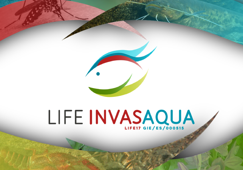 Generic representation of Workshop Espécies Invasoras Aquáticas LIFE-INVASAQUA