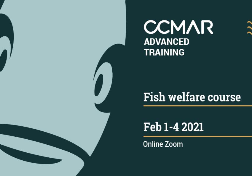 Generic representation of Fish Welfare Online Course