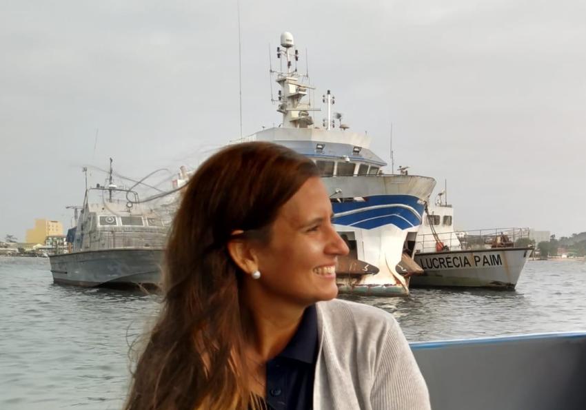 Generic representation of PhD thesis presentation of Vânia Baptista 