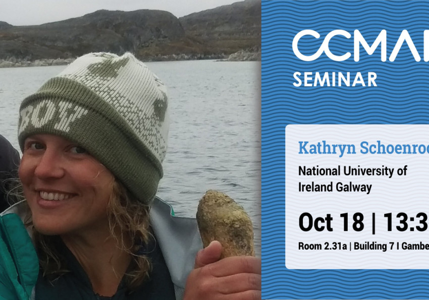 Generic representation of Irish Kelp Forest Ecology