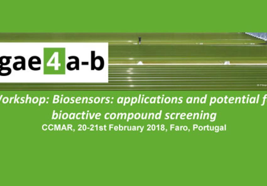 Generic representation of Biosensors: applications and potential for Bioactive compounds screening