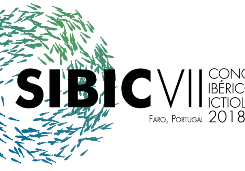 Generic representation of SIBIC 2018