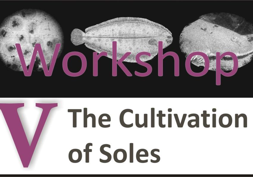 Generic representation of The Cultivation of Soles V