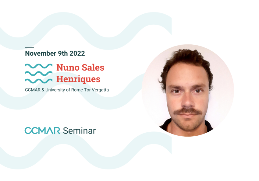 Nuno Henriques