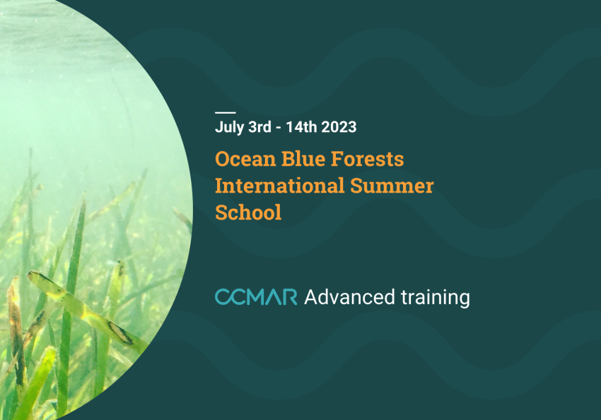 Ocean blue forests