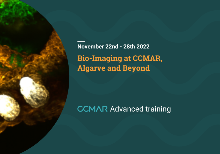 Bio-imaging