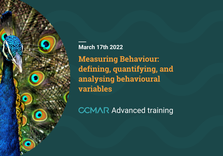 Measuring behaviour