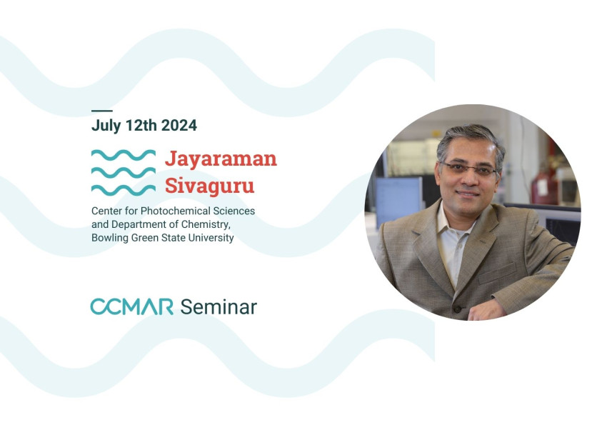 Jayaraman Sivaguru