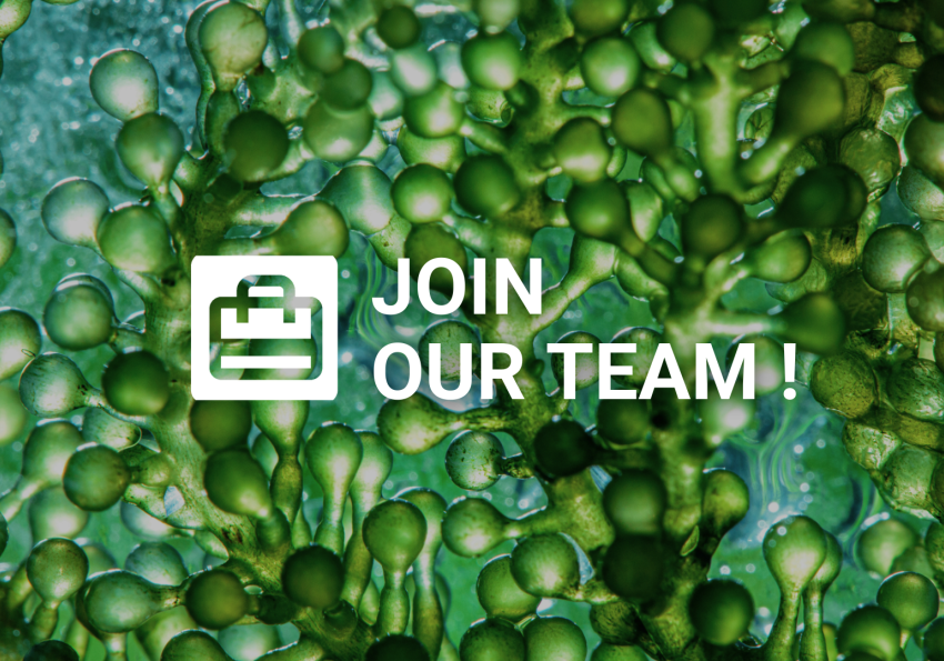 join our team
