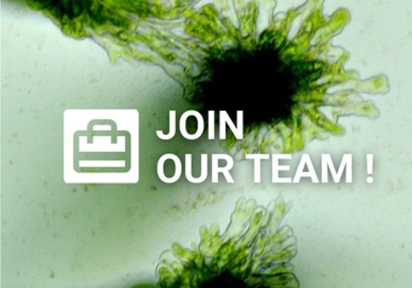 join