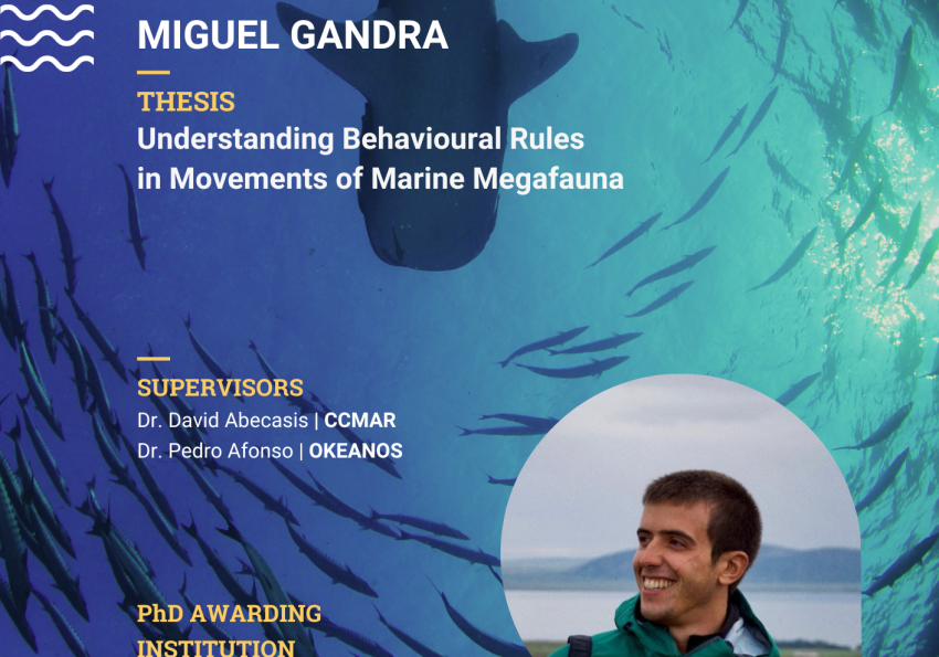 PhDPresentation Miguel Gandra