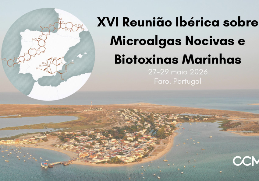 XVI Conferência Iberica