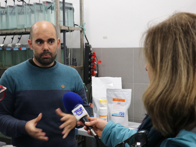 Gil em entrevista à TSF
