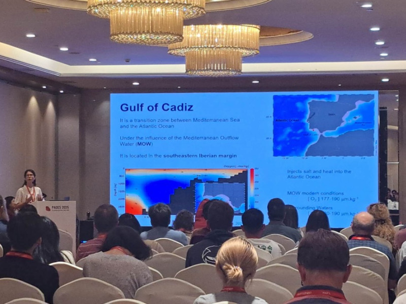 Giulia Molina presenting to a full room at the 7th OSM