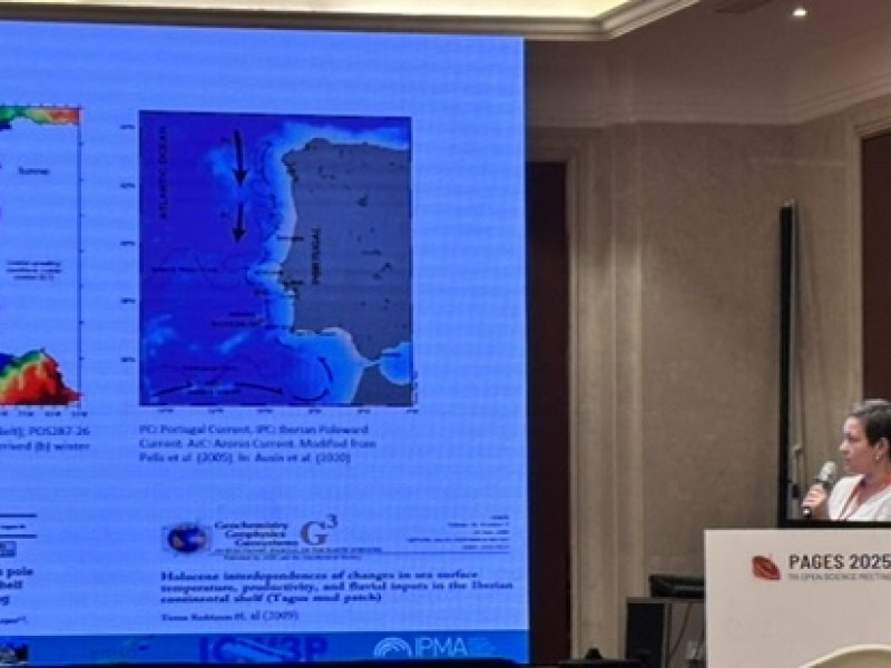 Lívia Gebara Cordeiro presenting at the 7th OSM