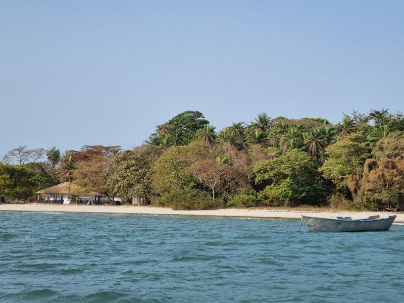 Ilha João Vieira