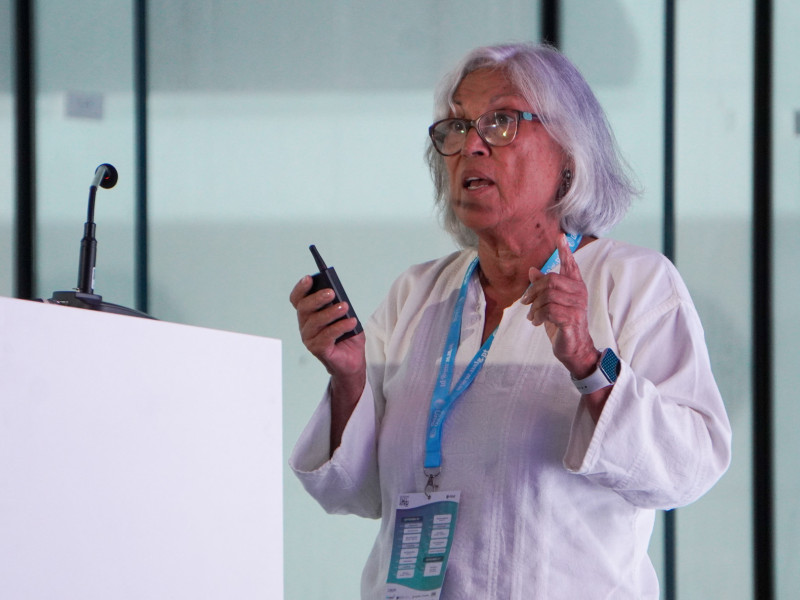 maria teresa dinis