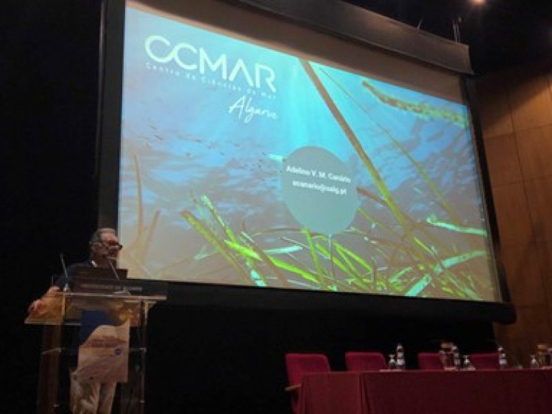 Adelino Canario, CCMAR's Presidente welcoming IMAGINE consortium members