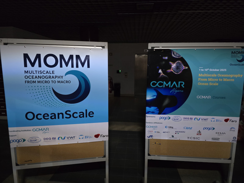 MOOM Course