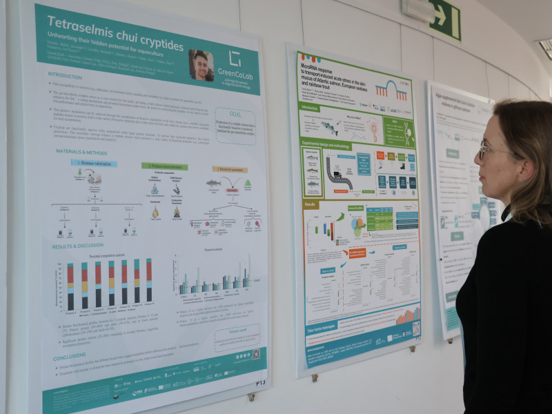 ENAQUA 25 Poster Session