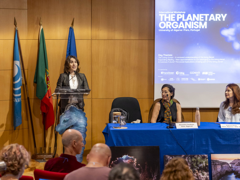 Ana Grenha We Ocean Workshop
