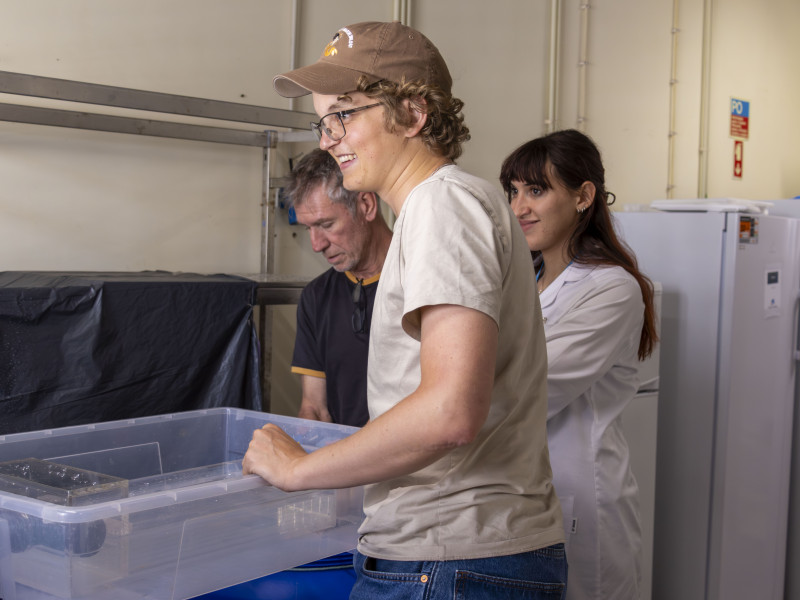 Eric Schuster, Melissa Piselli, and Jan Lennartz under the supervision of Luís Barreto and Gareth Pearson within the BEE group