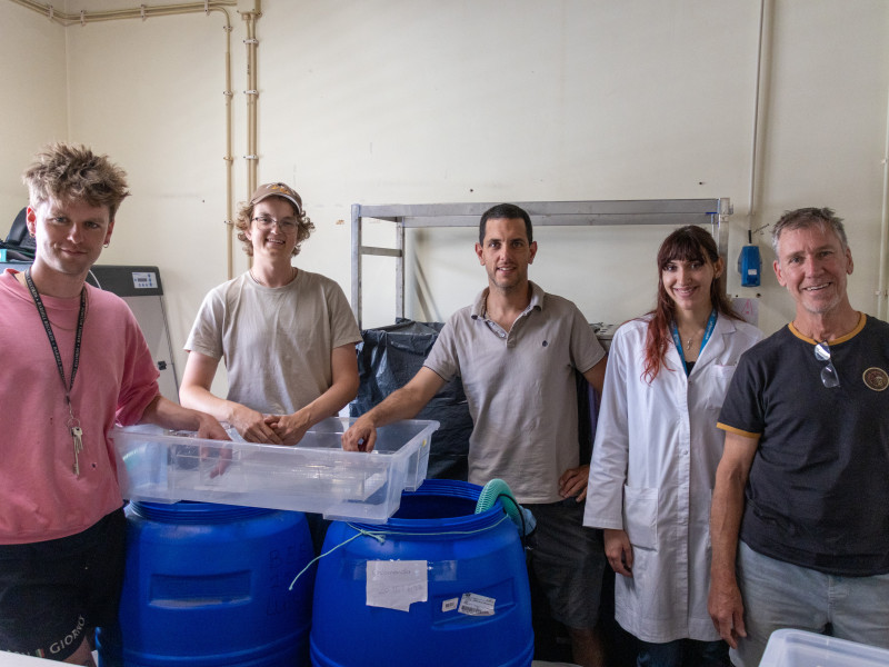 Eric Schuster, Melissa Piselli, and Jan Lennartz under the supervision of Luís Barreto and Gareth Pearson within the BEE group