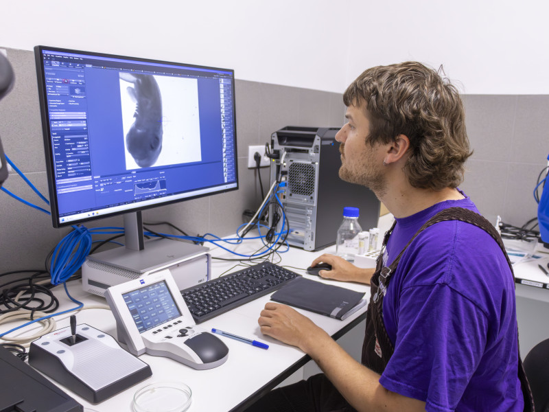 Robert Tornow within the Imaging Platform under the supervision of Carina Monico